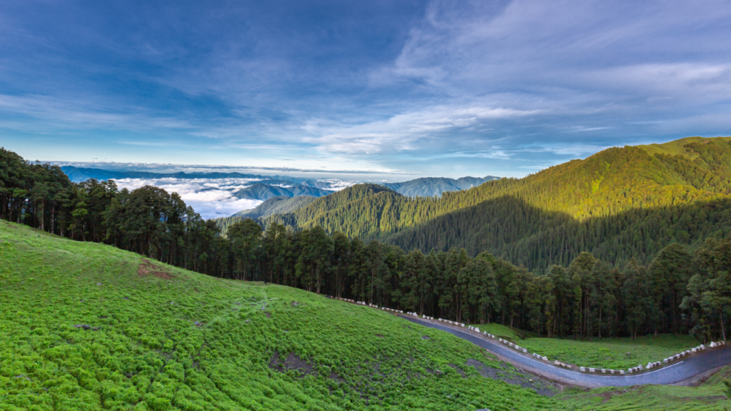 Your Ultimate Guide to Jibhi: The Hidden Hill Station of 2026